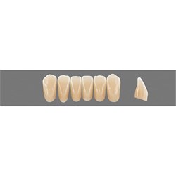Physiodens 3D Anterior Shade 2L1.5 Lower Mould L3M Set 6