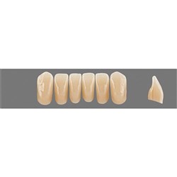 Physiodens 3D Anterior Shade 2L1.5 Lower Mould L6L Set 6