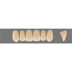 Physiodens 3D Anterior Shade 2L1.5 Upper Mould T5M Set 6