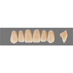 Physiodens 3D Anterior Shade 2L1.5 Upper Mould T9L Set 6