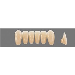 Physiodens 3D Anterior Shade 2L2.5 Lower Mould L8L Set 6