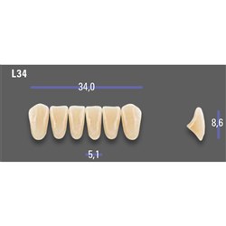 MFT Lower Anterior 3D MASTER Shade 1M1 Mould L34 x6