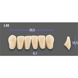 MFT Lower Anterior 3D MASTER Shade 1M1 Mould L40 x6