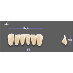 MFT Lower Anterior 3D MASTER Shade 2M1 Mould L33 x6