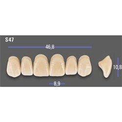 MFT Upper Anterior 3D MASTER Shade 3L25 Mould S47 x6