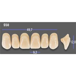 MFT Upper Anterior 3D MASTER Shade 3R25 Mould S50 x6
