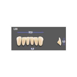 MFT Lower Anterior 3D MASTER Shade 4M2 Mould L33 x6