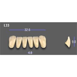 MFT Lower Anterior Classical Shade A1 Mould L33 x6