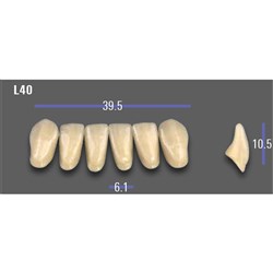 VITA MFT Lower Anterior Classical Shade A1 Mould L40