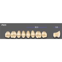 VITA MFT Upper Posterior Classical Shade A1 Mould PU31