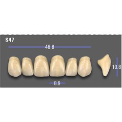 VITA MFT Upper Anterior Classical Shade A1 Mould S47