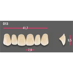 Vitapan Anterior Shade A2 Upper Mould O13 Set 6