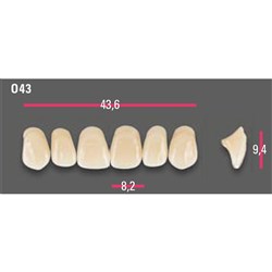 Vitapan Anterior Shade A2 Upper Mould O43 Set 6