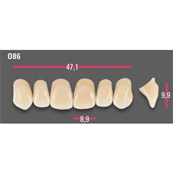 Vitapan Anterior Shade A2 Upper Mould O86 Set 6
