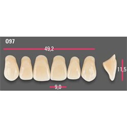 Vitapan Anterior Shade A2 Upper Mould O97 Set 6