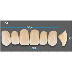 Vitapan Plus Upper Anterior Shade A2 Mould T54 Classical