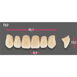 Vitapan Anterior Shade A3 Upper Mould T67 Set 6