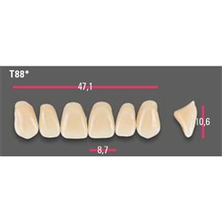Vitapan Anterior Shade A3 Upper Mould T88 Set 6