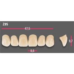 Vitapan Anterior Shade A3 Upper Mould Z85 Set 6