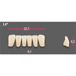 Vitapan Anterior Shade A3.5 Lower Mould L4 Set 6
