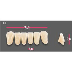 Vitapan Anterior Shade A3.5 Lower Mould L8 Set 6