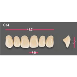 Vitapan Anterior Shade A3.5 Upper Mould O34 Set 6