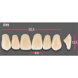 Vitapan Anterior Shade A3.5 Upper Mould O99 Set 6