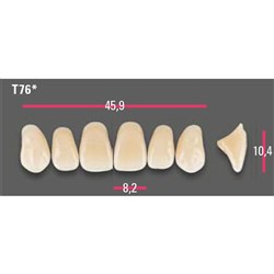 Vitapan Anterior Shade A3.5 Upper Mould T76 Set 6