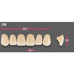 Vitapan Anterior Shade A3.5 Upper Mould Z84 Set 6