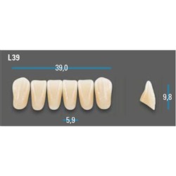 Vitapan Plus Anterior Shade A4 Lower Mould L39 Set 6