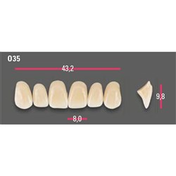 Vitapan Anterior Shade A4 Upper Mould O35 Set 6