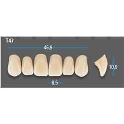 Vitapan Plus Anterior Shade A4 Upper Mould T47 Set 6