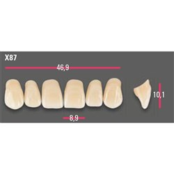 Vitapan Anterior Shade A4 Upper Mould X87 Set 6