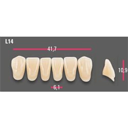 Vitapan Anterior Shade B2 Lower Mould L14 Set 6