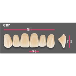 Vitapan Anterior Shade B2 Upper Mould O98 Set 6