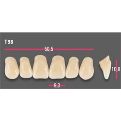 Vitapan Anterior Shade B2 Upper Mould T98 Set 6