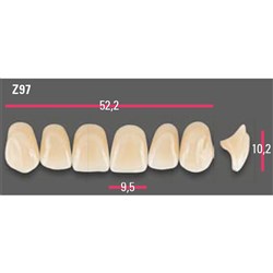 Vitapan Anterior Shade B2 Upper Mould Z97 Set 6