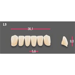 Vitapan Anterior Shade B3 Lower Mould L9 Set 6