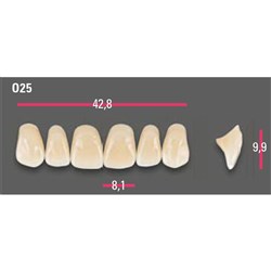 Vitapan Anterior Shade B3 Upper Mould O25 Set 6