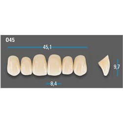 Vitapan Plus Anterior Shade B3 Upper Mould O45 Set 6