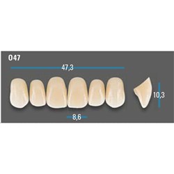 Vitapan Plus Anterior Shade B3 Upper Mould O47 Set 6