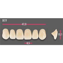 Vitapan Anterior Shade B3 Upper Mould X77 Set 6