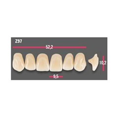 Vitapan Anterior Shade B3 Upper Mould Z97 Set 6