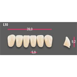 Vitapan Anterior Shade B4 Lower Mould L10 Set 6
