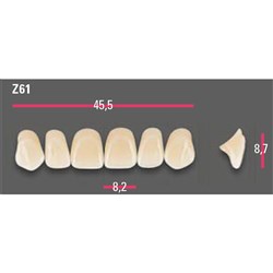 Vitapan Anterior Shade C2 Upper Mould Z61 Set 6