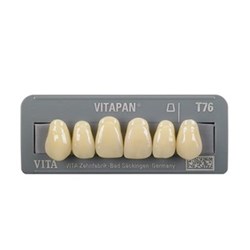 Vitapan Anterior Shade C3 Upper Mould Z61 Set 6