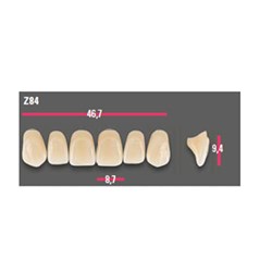Vitapan Anterior Shade C3 Upper Mould Z84 Set 6