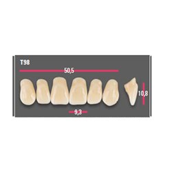 Vitapan Anterior Shade C4 Upper Mould T98 Set 6