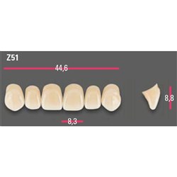Vitapan Anterior Shade C4 Upper Mould Z51 Set 6