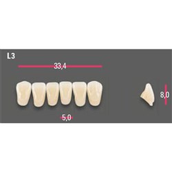 Vitapan Anterior Shade D2 Lower Mould L3 Set 6